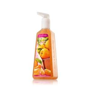 Bath & Body Works Fresh Picked Tangerines Antibacterial Foaming Hand 