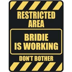   RESTRICTED AREA BRIDIE IS WORKING  PARKING SIGN