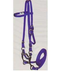  Brow Bridle   Purple [Misc.]