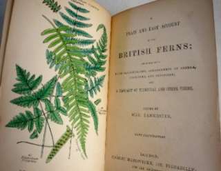   BRITISH FERNS WITH ILLUSTRATIONS BOTANY BOOK LANKESTER ANTIQUE BOOK