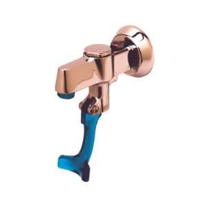  T&S Brass B 1205 M Faucet