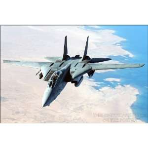 14 Tomcat   24x36 Poster (p1)