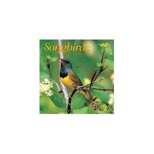  Songbirds 2008 Mini Wall Calendar