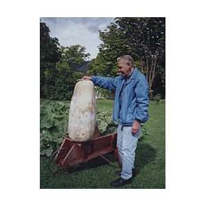  *WORLDS LARGEST GOURD *GIANT ZUCCA GOURD*7 seeds*#1175 