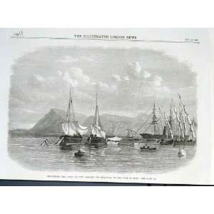  Recovering Cargo Carnatic Suez Gulf 1869 Ships