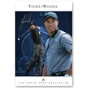 Tiger Woods Poster Collection   Intimidation 