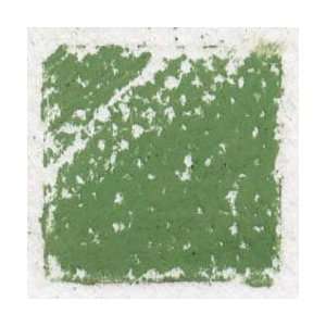  Sennelier Soft Pastel Sticks Moss Gray Green 173 Arts 