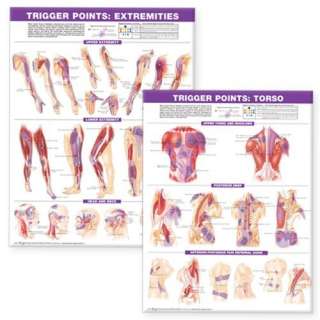 Trigger Point Chart Set Torso and Extremities Anatomical Chart 