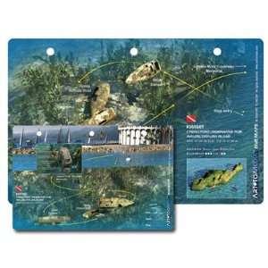   Site in Catalina, Avalon Waterproof 3D Dive Site Card Sports