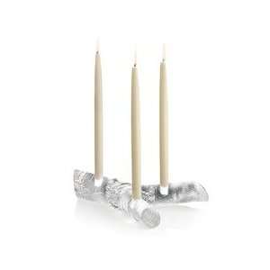 Steuben Glass Candlesticks Aspen Glade Candle Holder 5.5  