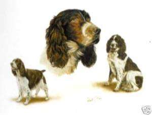 ENG SPRINGER SPANIEL 3 DOGS 6 in Fabric Squares   Quilt  