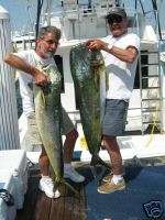 Key West Offshore Fishing Charter. Charterboat Absolut  