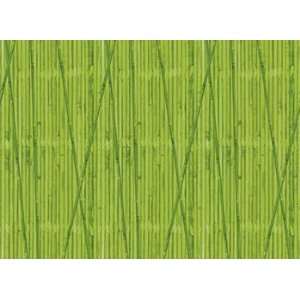  Quality value Fadeless Bamboo 48X12 4/Pk By Pacon Toys 