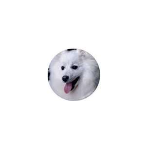  japanese spitz 4 1in Mini Magnet Q0705 