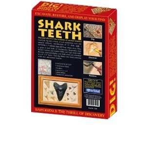  DIG & DISCOVER Shark Teeth Toys & Games