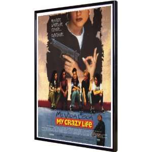  My Crazy Life 11x17 Framed Poster