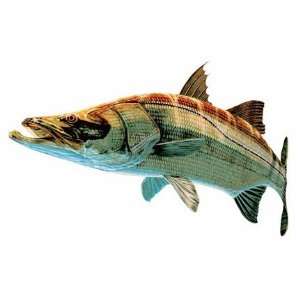  Perfect Images Snook Decal #4005
