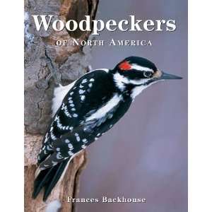  Woodpecker (Books) (Clingers) 