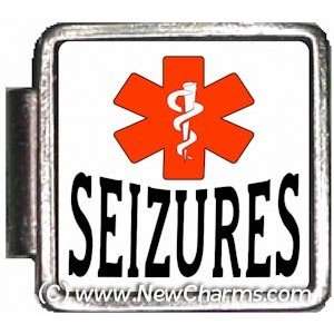  Seizures Medical Italian Charm Bracelet Jewelry Link 
