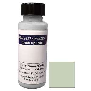 Jewel Frost Metallic Touch Up Paint for 2007 Cadillac DTS (color code 