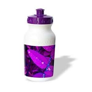  Yves Creations Colorful Leaves   Long Purple Leaf Water 