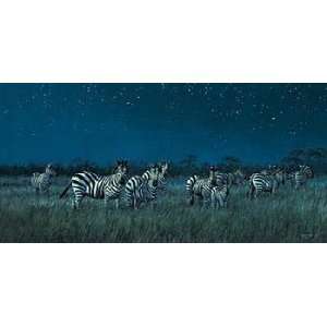  Michael Sieve   Midnight on the Serengeti   Zebras