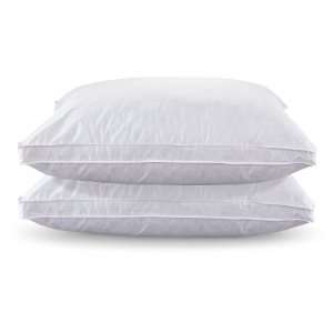  2   Pk. White Goose Down / Feather Pillows
