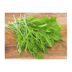  Mustard Mizuna Great Heirloom Vegetable 5,000 Seeds Patio 