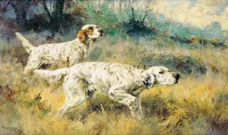 TWO SETTERS by Percival L Rosseau ENGLISH SETTERS  