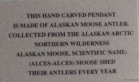 Made in Alaska Moose Antler Caribou Necklace Pendant  