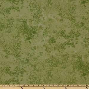  44 Wide Forest Secrets Textural Sage Fabric By The Yard 