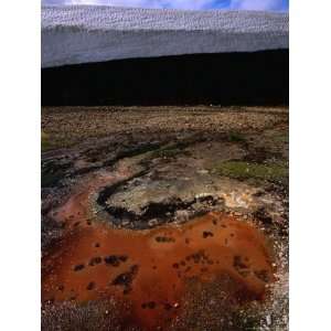  Algae Growth in Pool Near Storihiver Hot Springs 