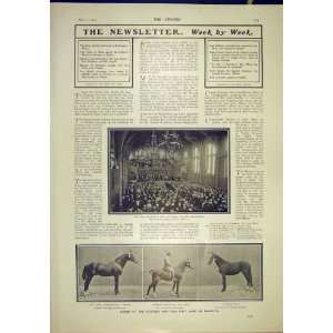  Whitworth Hall Manchester Horses Hunters Polo Show 1902 