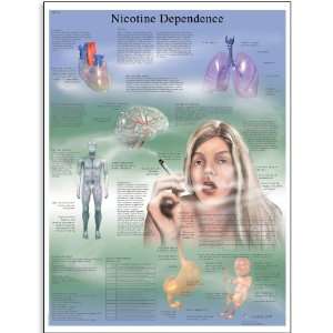   Dependence Anatomical Chart, Poster Size 20 Width x 26 Height