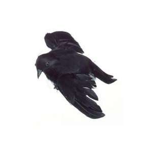 4 3 / 4 Flying Crow Feathered