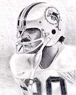 LARRY CSONKA LITHOGRAPH POSTER PRINT IN DOLPHINS JERSEY