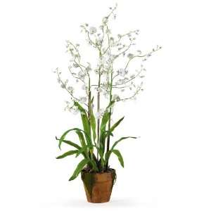 Real Looking Dancing Lady Silk Orchid Arrangement w/Moss Pot White 