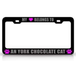 MY HEART BELONGS TO A YORK CHOCOLATE Cat Pet Auto License Plate Frame 