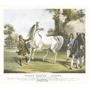  Darley Arabian, Roxana by Francis Calcraft Turner 23x17 