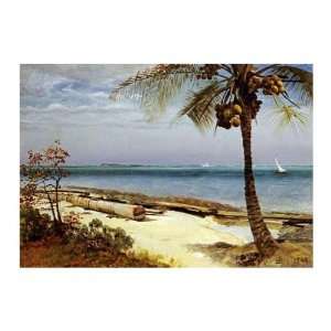 Tropical Coast Albert Bierstadt. 14.00 inches by 11.00 inches. Best 