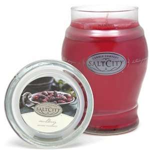  Salt City Mulberry 26oz Jar Candle