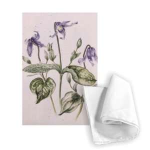  Clematis Integrifolia by Alison Cooper   Tea Towel 100% 