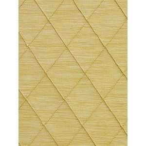  Pindler & Pindler Bizet   Champagne Fabric