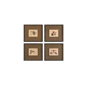  Set of 4 Dragon Fly Study Art Accents