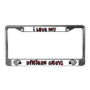  Anime African Grey Pets License Plate Frame by  