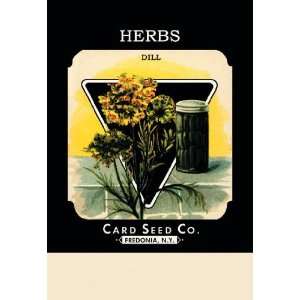  Herbs Dill 12x18 Giclee on canvas