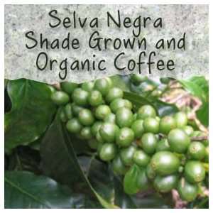 Un Roasted Selva Negra GreenShade Grown and Organic Coffee Beans   5LB