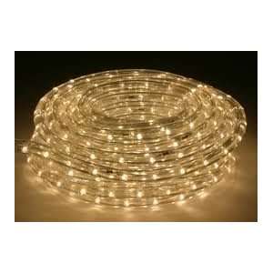   LED Rope Light Spool   148FT, 120V Cuttable, 2 Wire