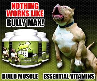   Max Vitamin & Muscle Supplement Pit Bull Dogs 2 Month Supply  