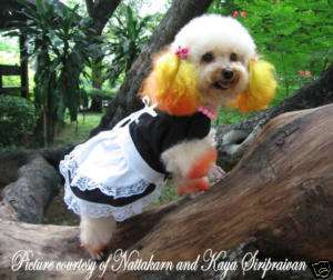 Dog Dress costumes*CUSTOM FIT(xxs med)*french maid  